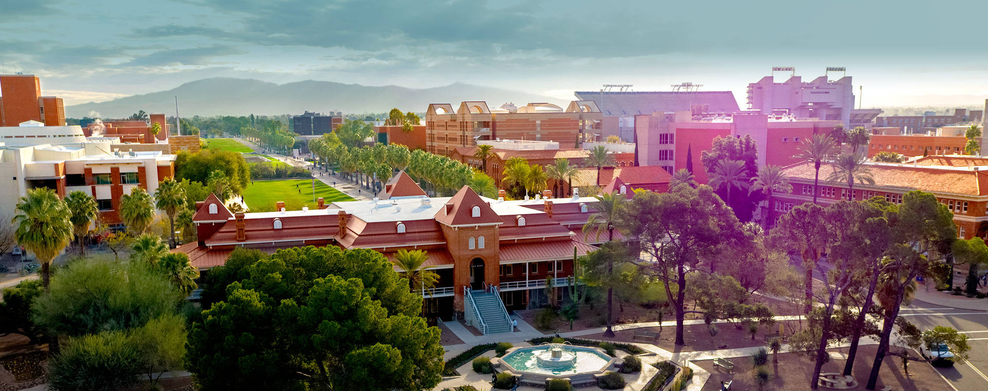 University Of Arizona Leak Background