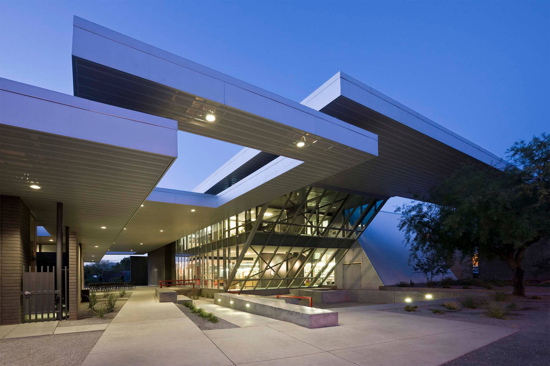 University Of Arizona Modern Panels