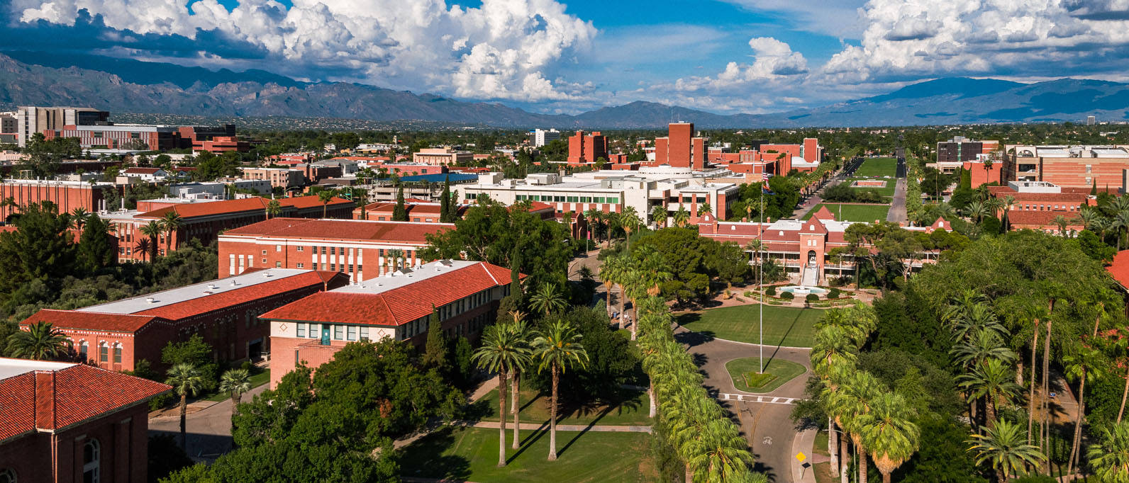 University Of Arizona Roofs Background