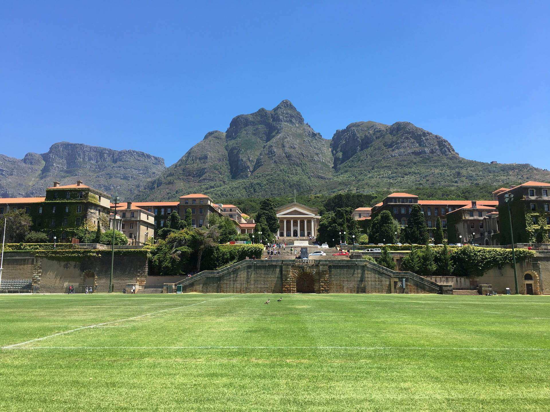 University Of Cape Town Campus Background