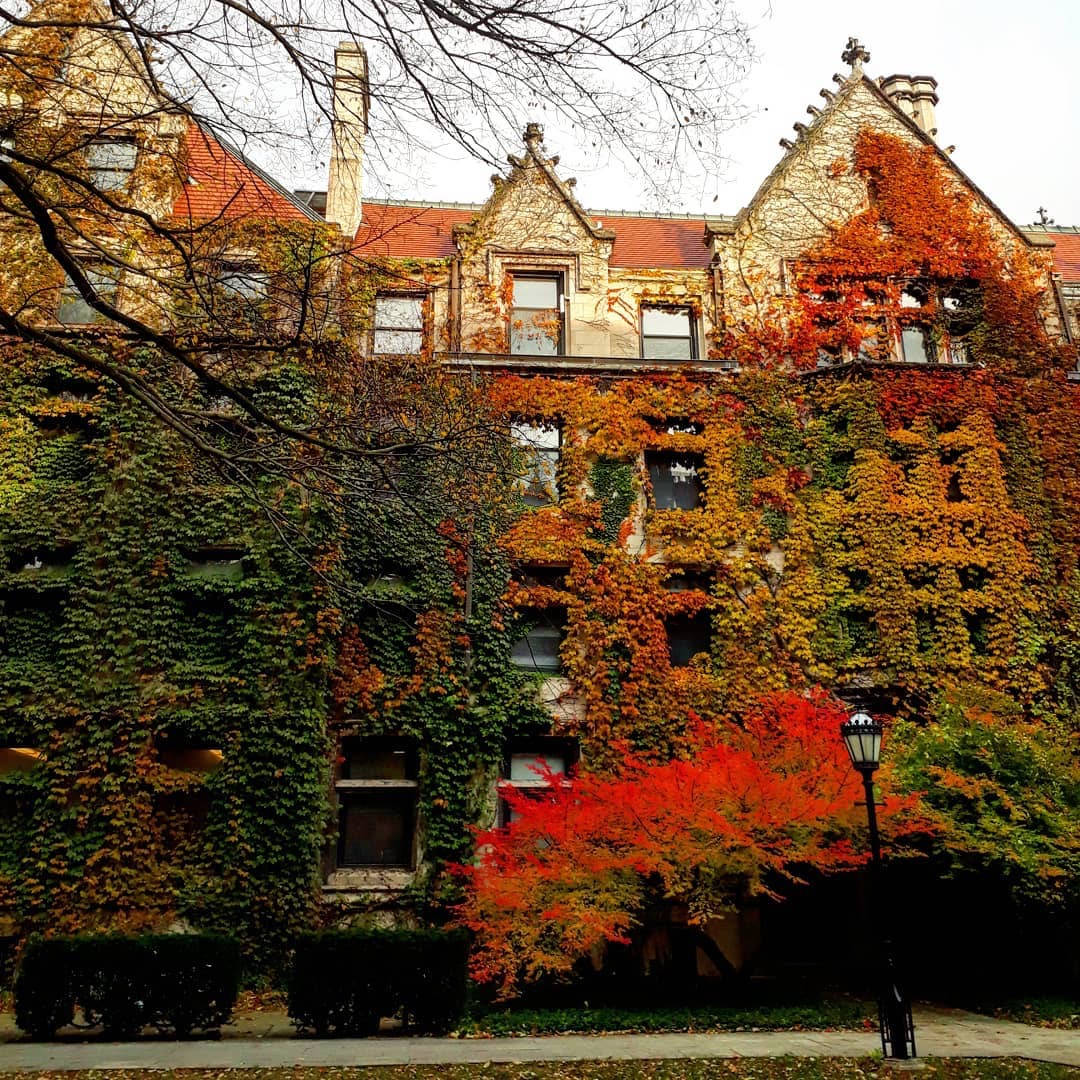 University Of Chicago Autumn House Background