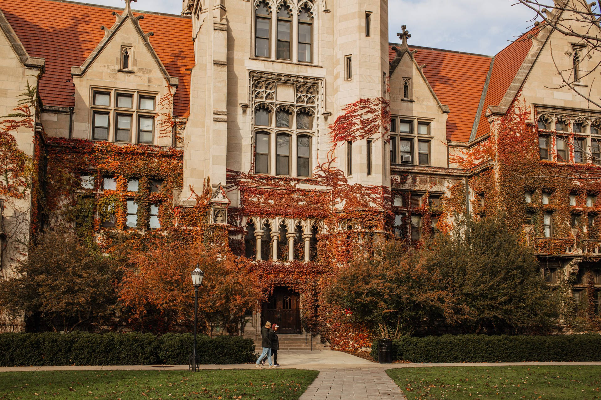 University Of Chicago Autumn Background