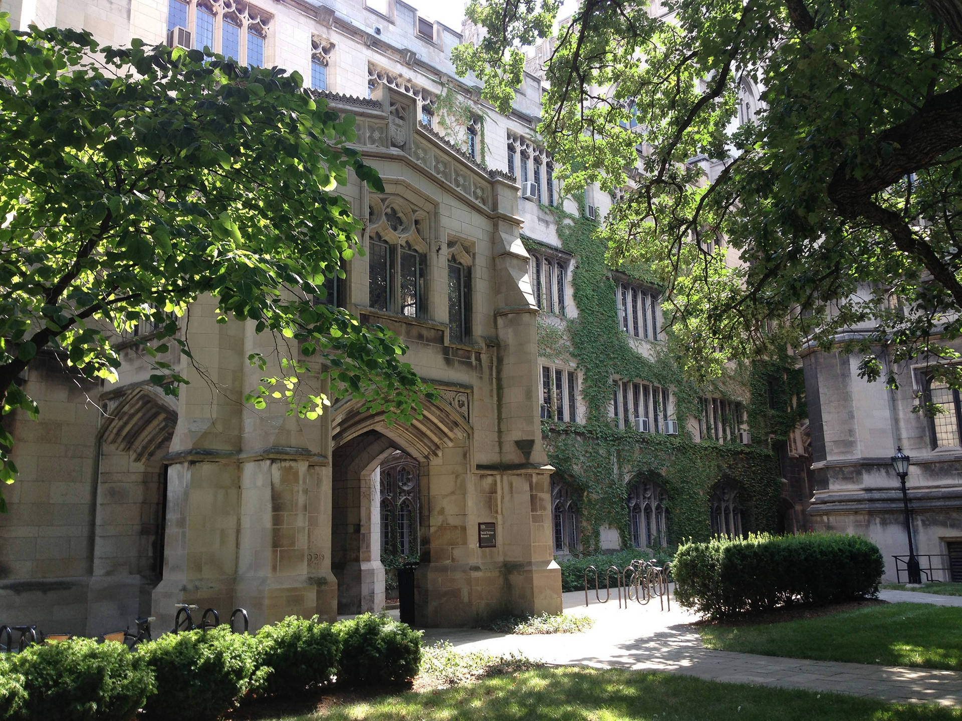 University Of Chicago Empty