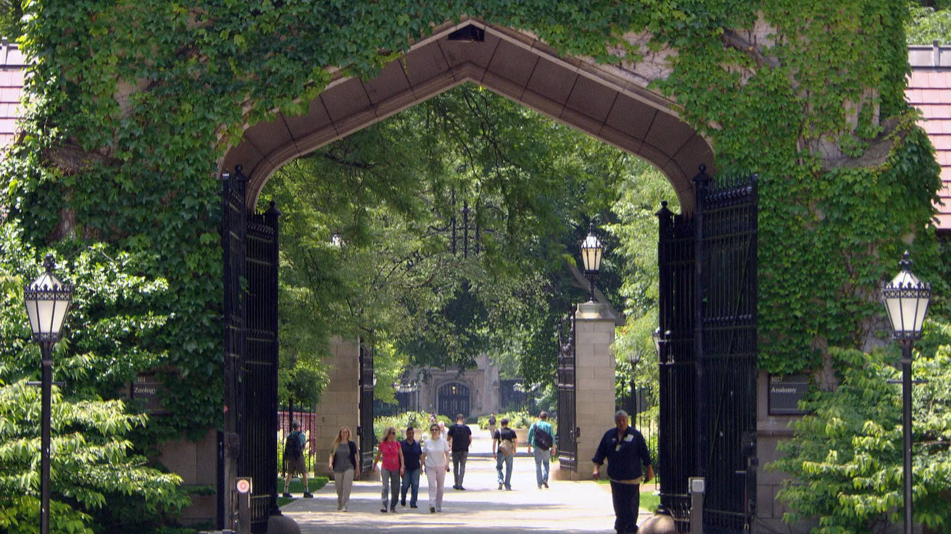 University Of Chicago Greenery Background