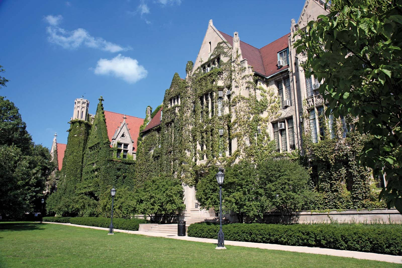 University Of Chicago Hedges Background