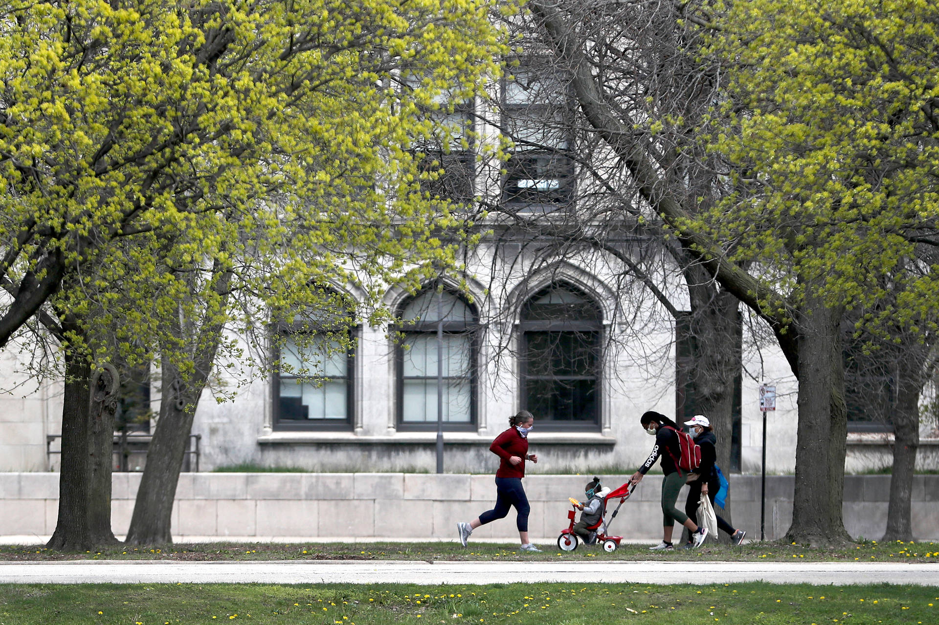 University Of Chicago Park Background