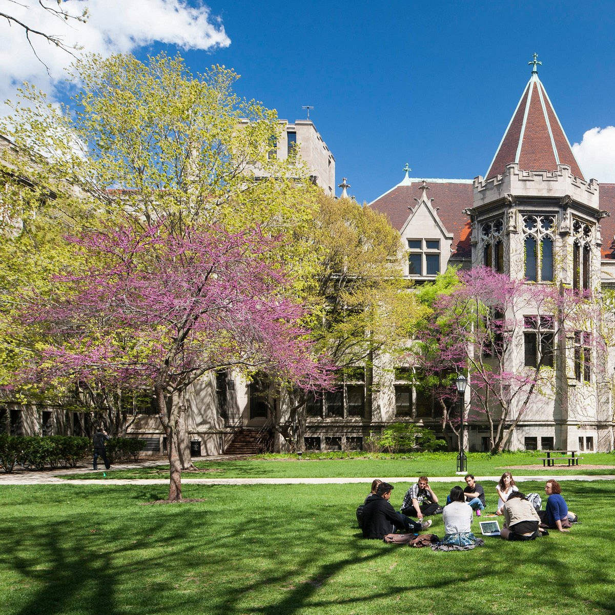 University Of Chicago Spring Background