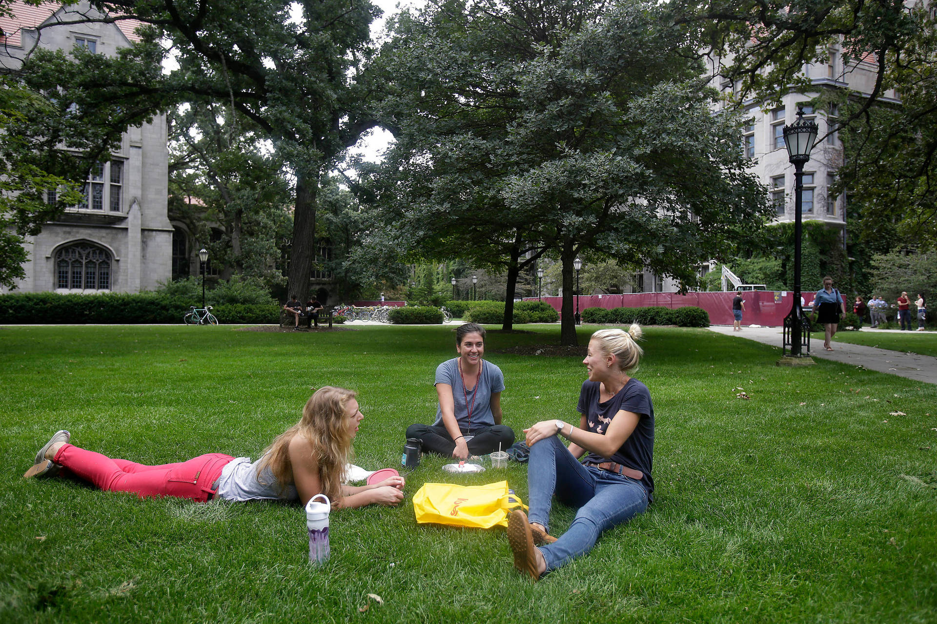 University Of Chicago Students Engrossed In Their Studies Background