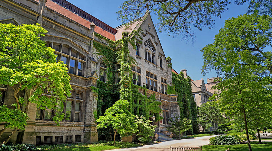 University Of Chicago Windows Background