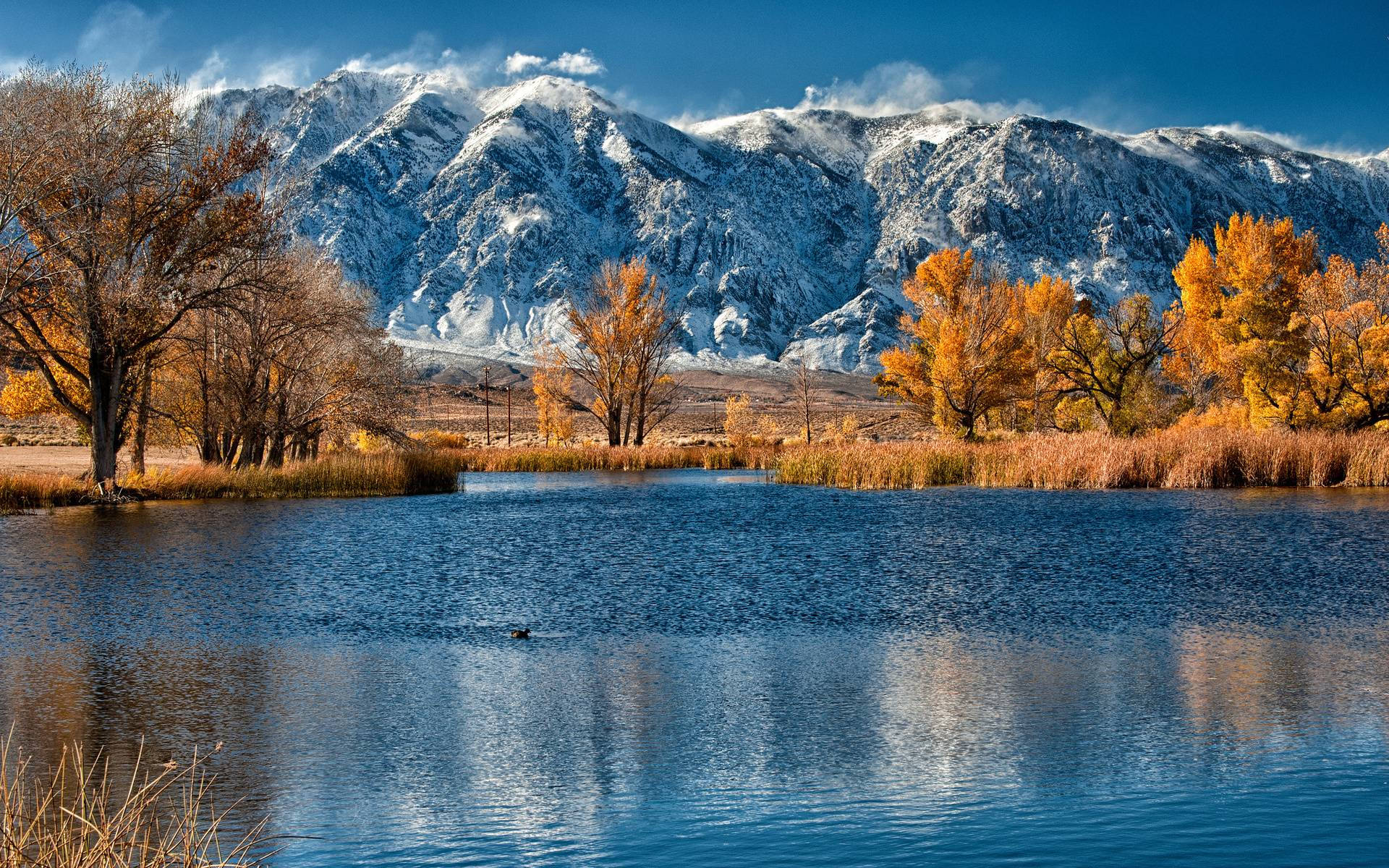 University Of Colorado At Boulder Autumn Background