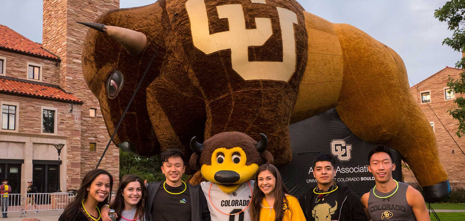 University Of Colorado's Stately Buffalo Mascots Background