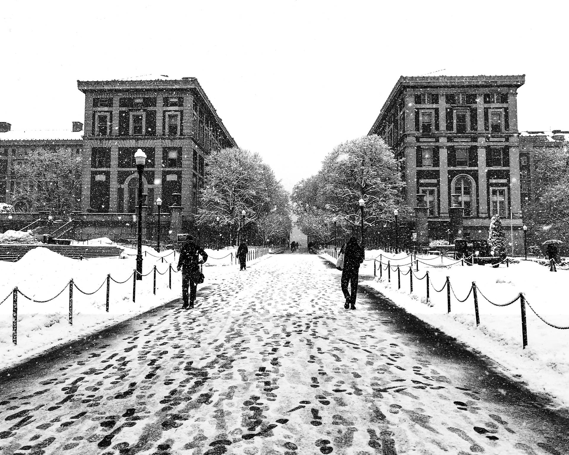 University Of Columbia Background