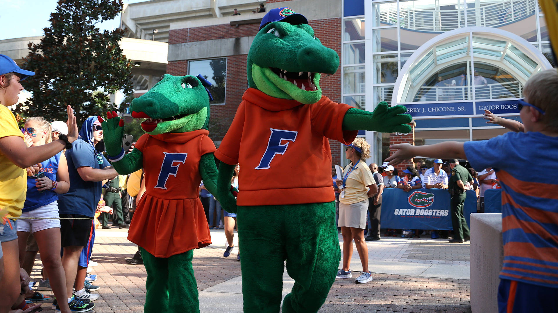 University Of Florida Gators Mascots Background