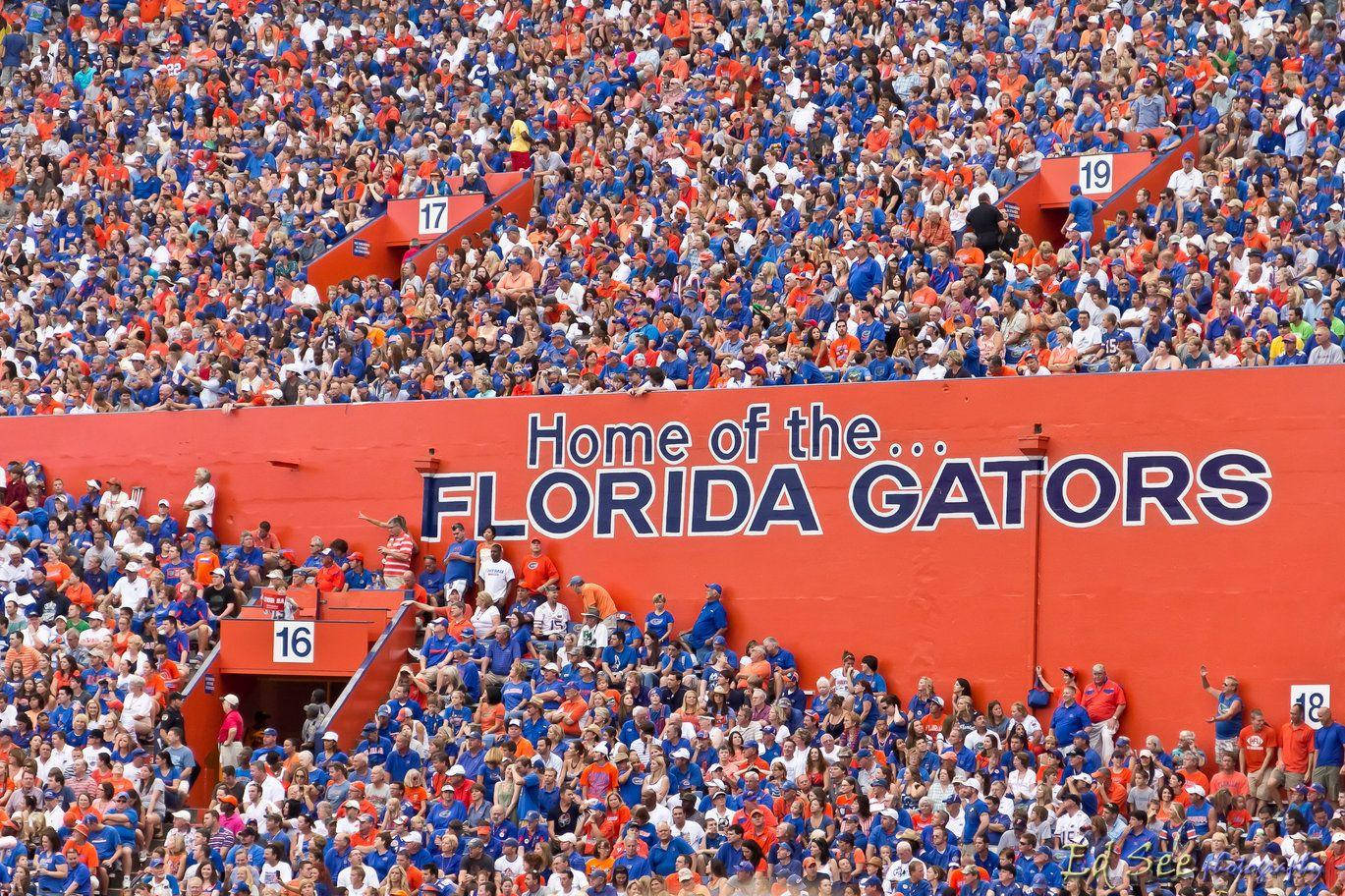 University Of Florida Gators Stadium Background