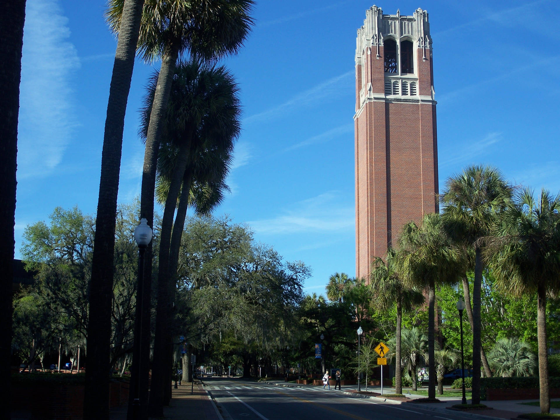 University Of Florida's Prominent Century Tower Background