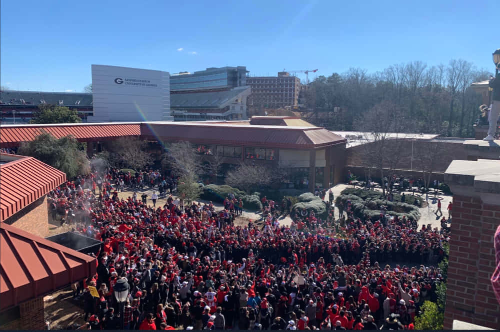 University Of Georgia Bulldogs Fans Background