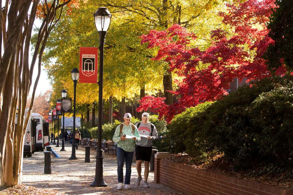 University Of Georgia Students Walking Around