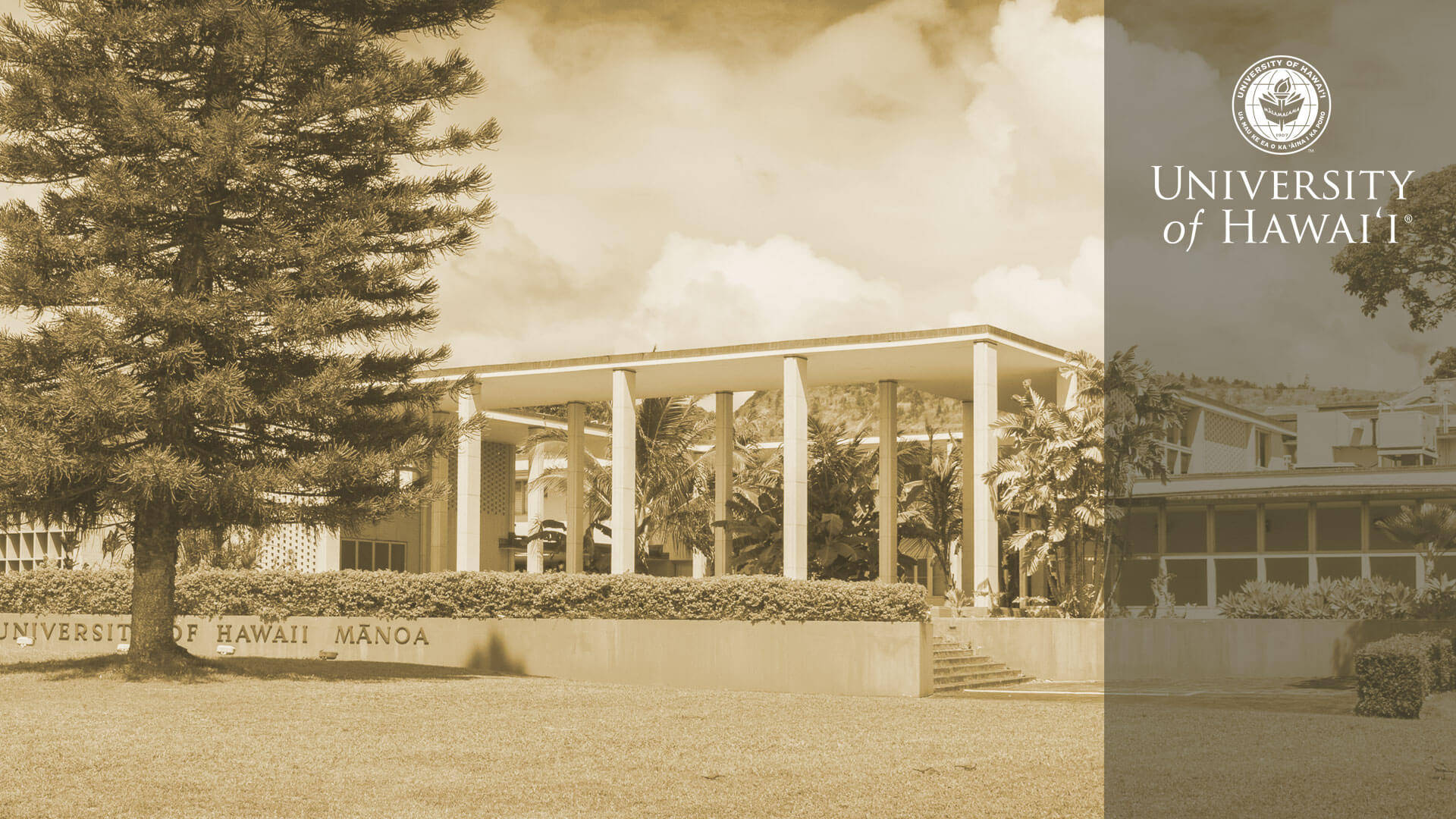 University Of Hawaii Bachman Hall Background