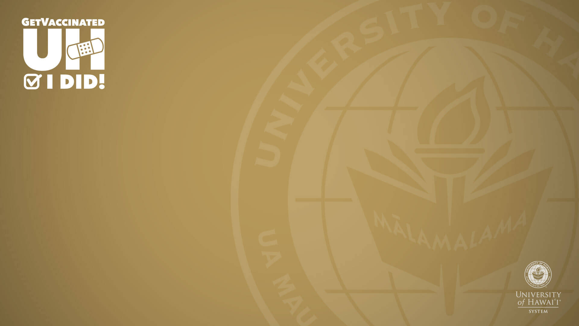 University Of Hawaii Brown Zoom Logo Background