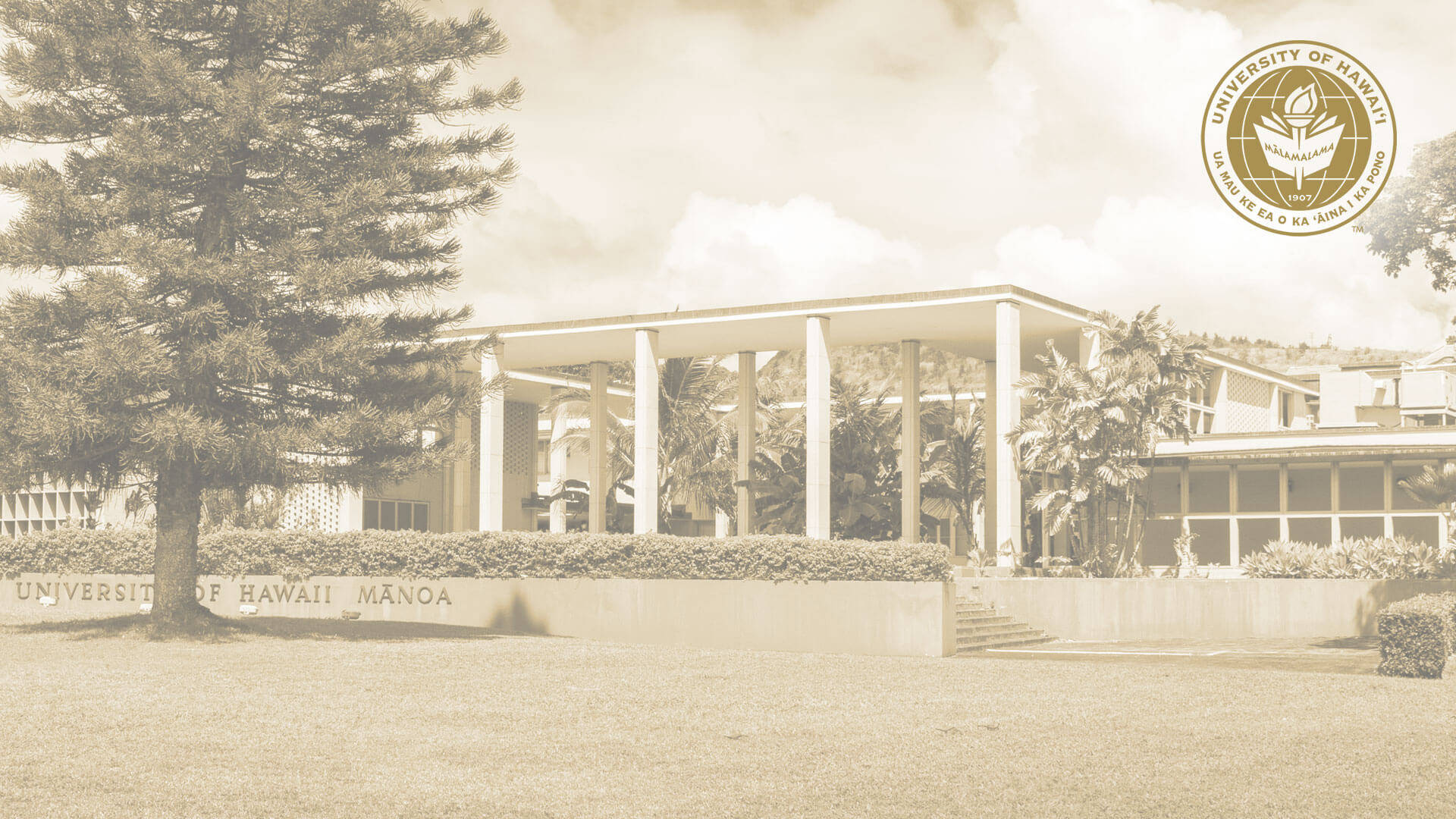 University Of Hawaii Campus And Logo Background