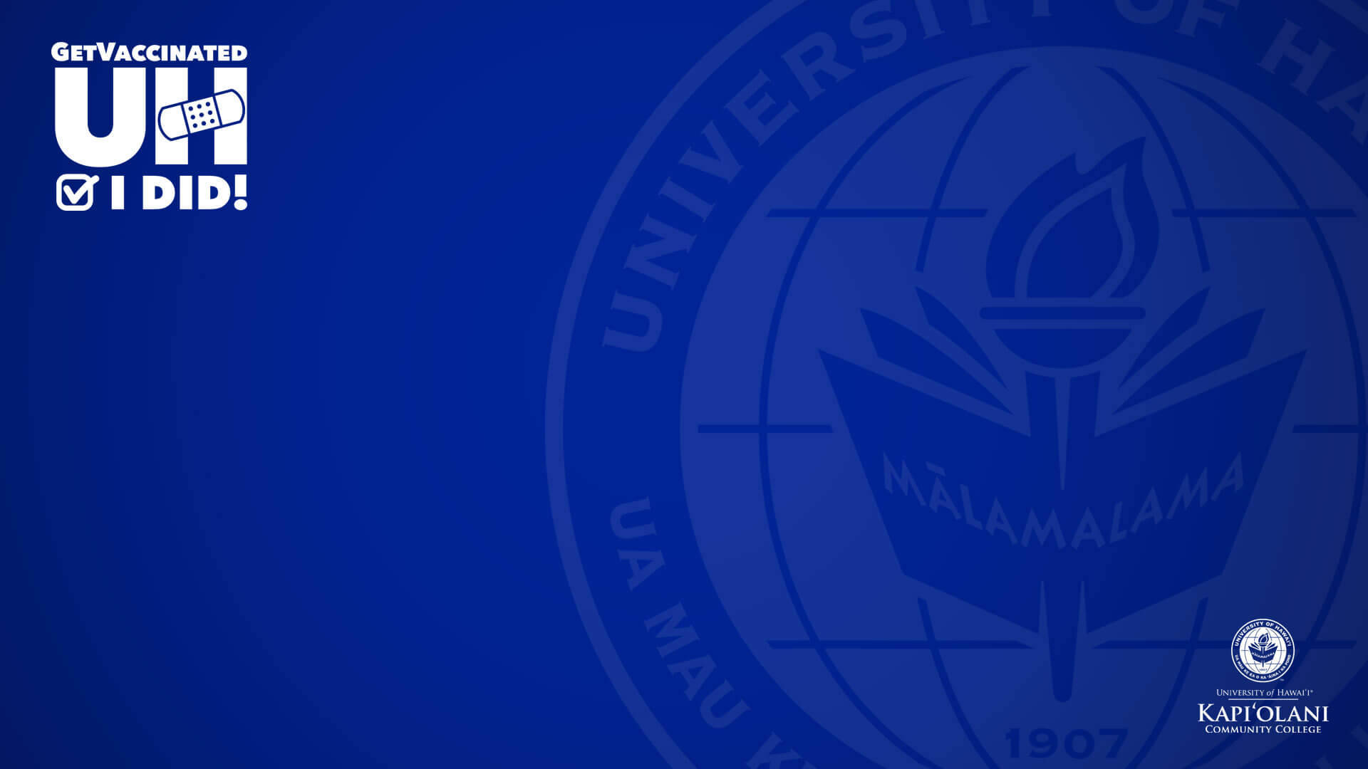 University Of Hawaii Dark Blue Zoom Background Background