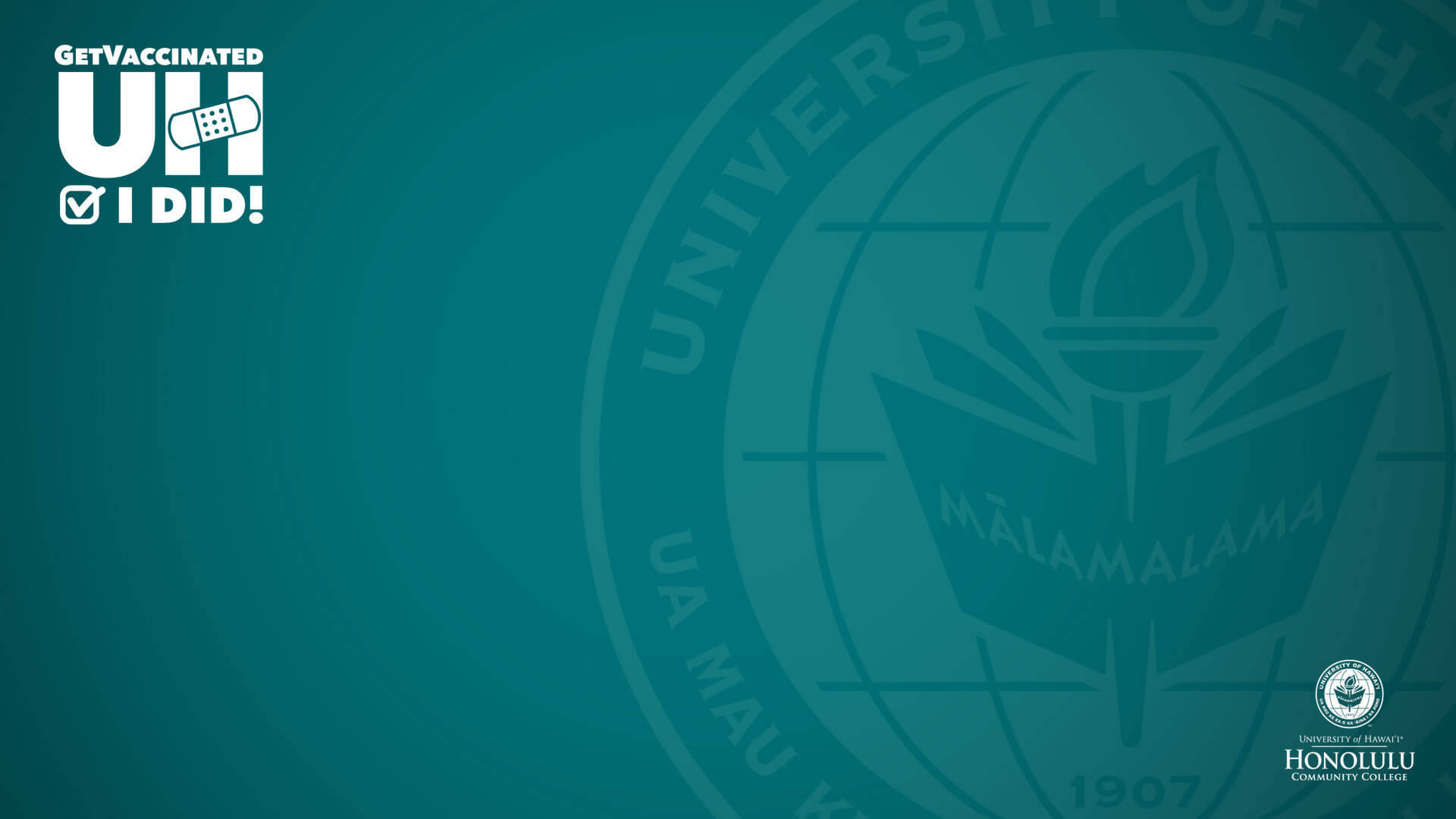 University Of Hawaii Dark Green Background