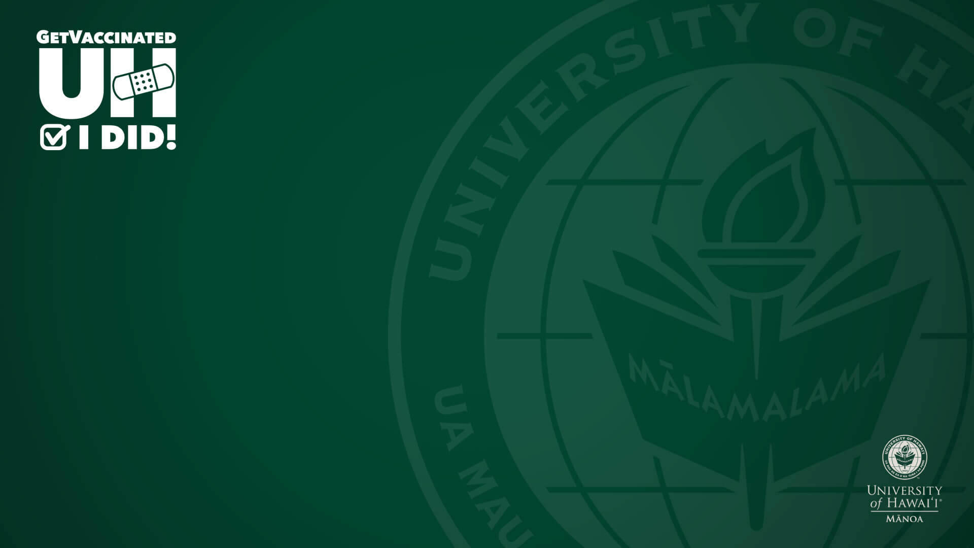 University Of Hawaii Dark Green Zoom Background Background