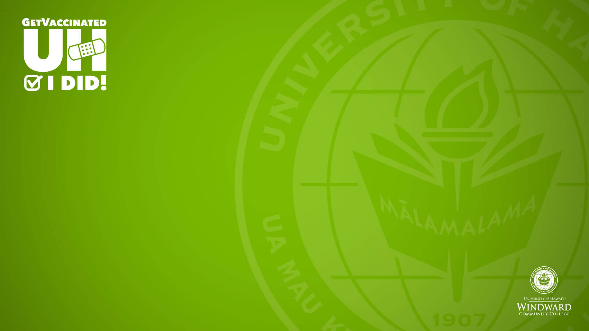 University Of Hawaii Green Zoom Background Background