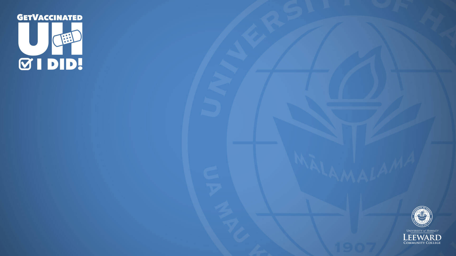 University Of Hawaii Light Blue Zoom Background Background