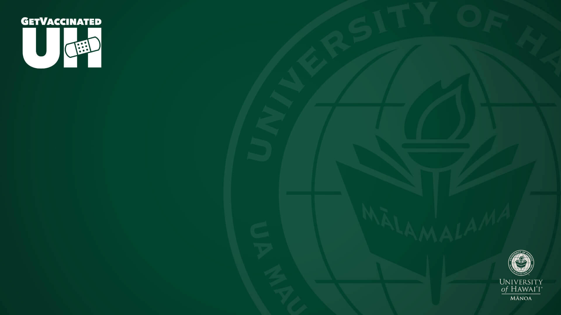 University Of Hawaii Manoa Green Zoom Backdrop Background