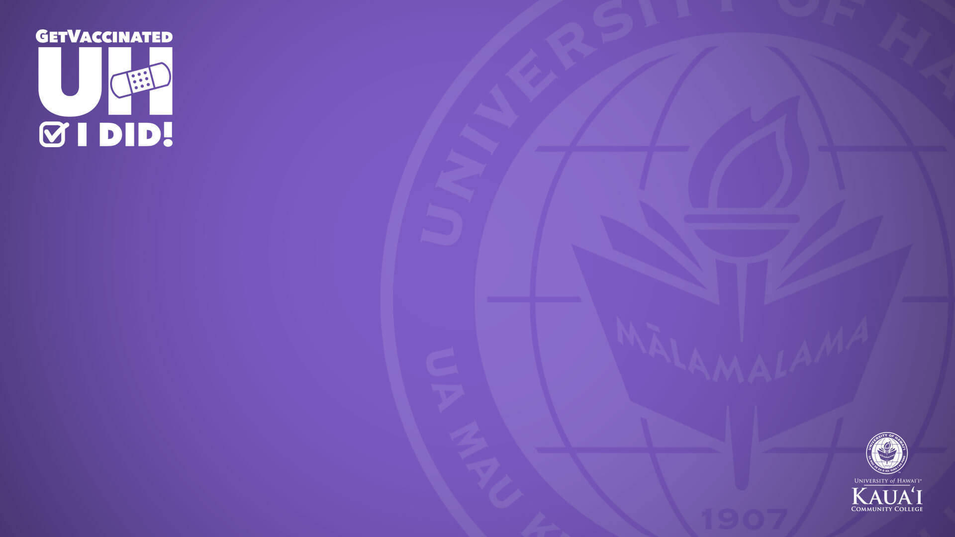 University Of Hawaii Purple Zoom Background Background