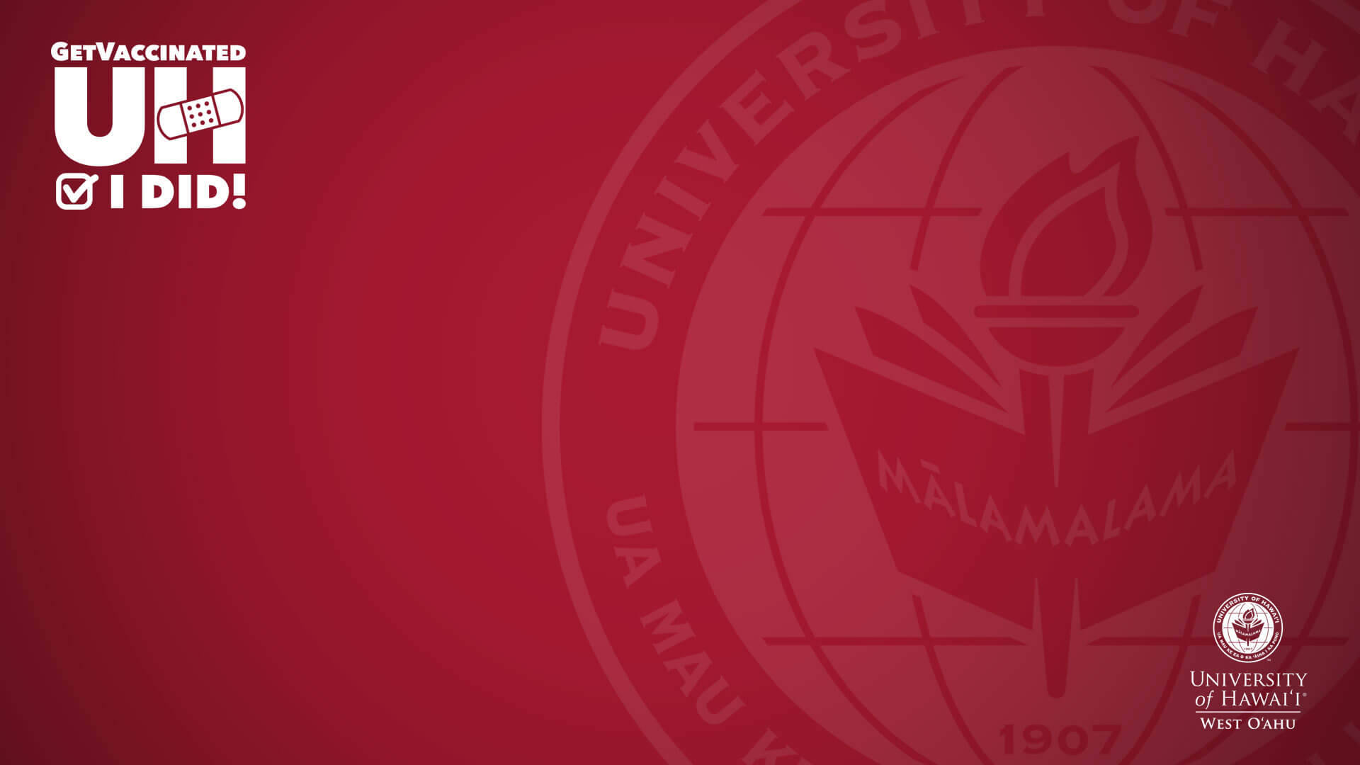 University Of Hawaii Red Zoom Background