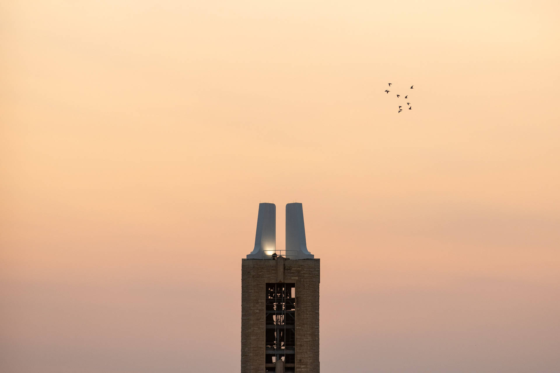 University Of Kansas Campanile With Birds