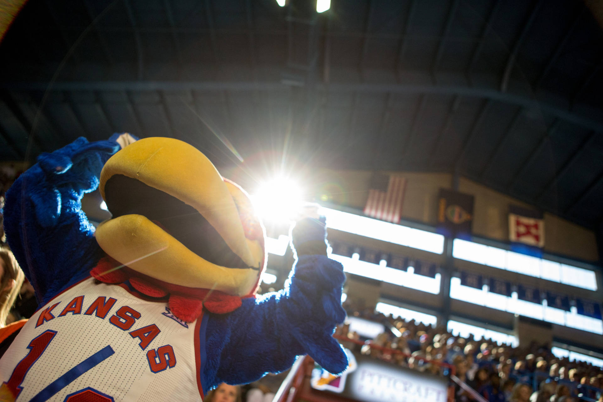 University Of Kansas Mascot Inside Gym