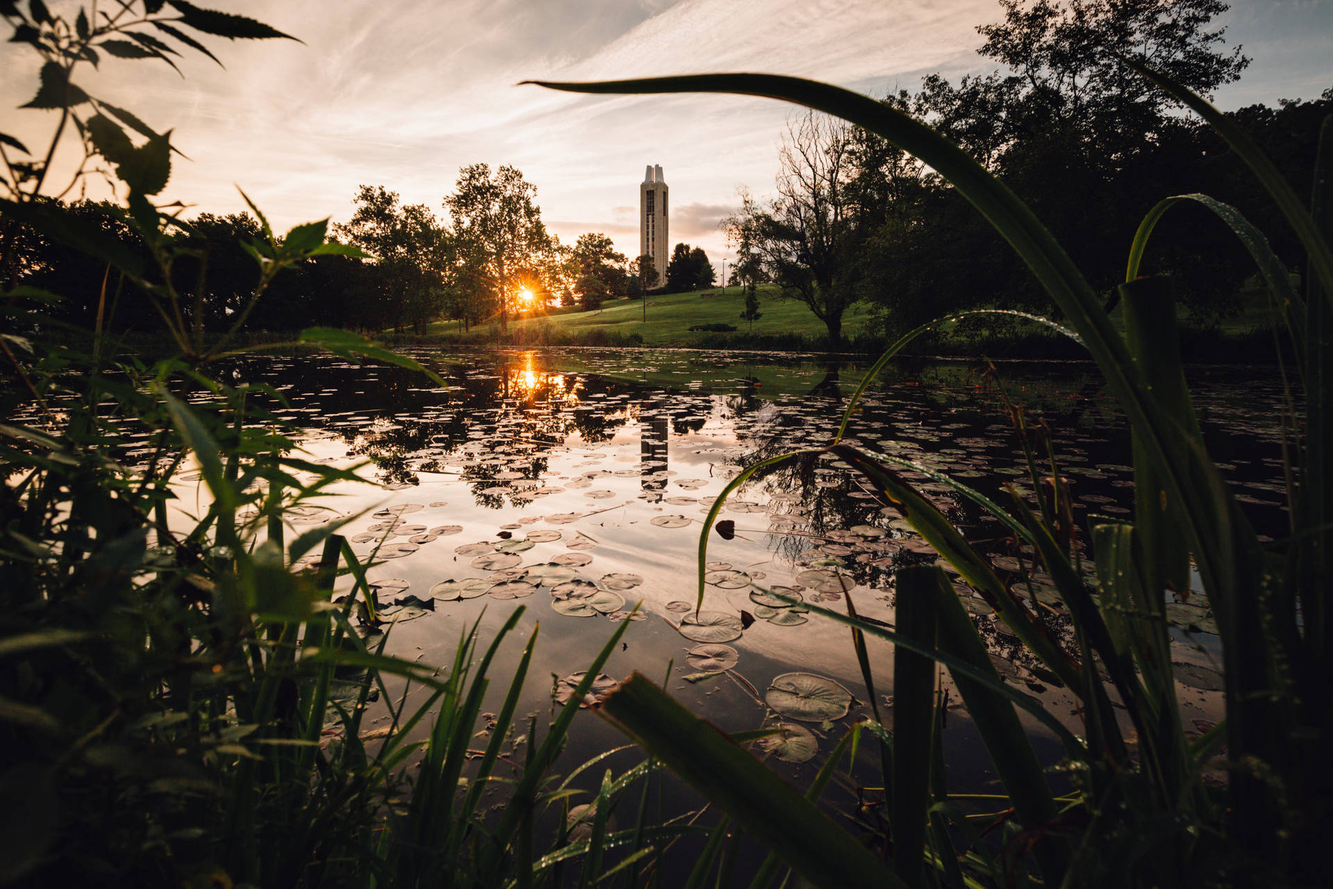 University Of Kansas Potter Lake View