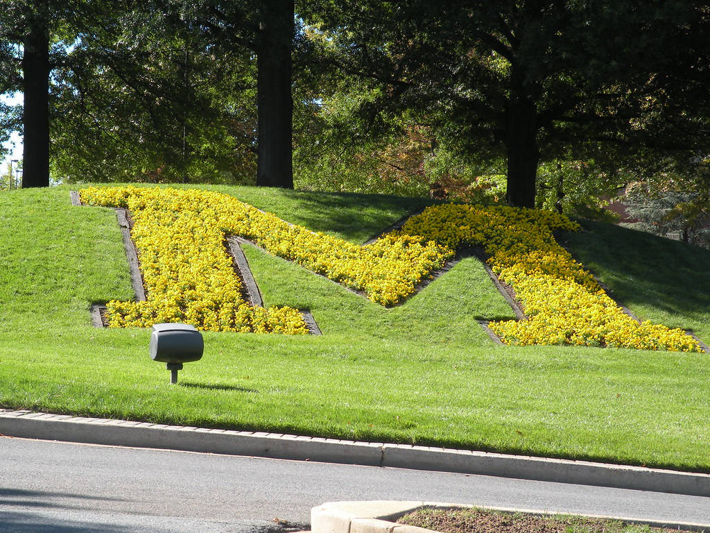 University Of Maryland Artistic Landscaping