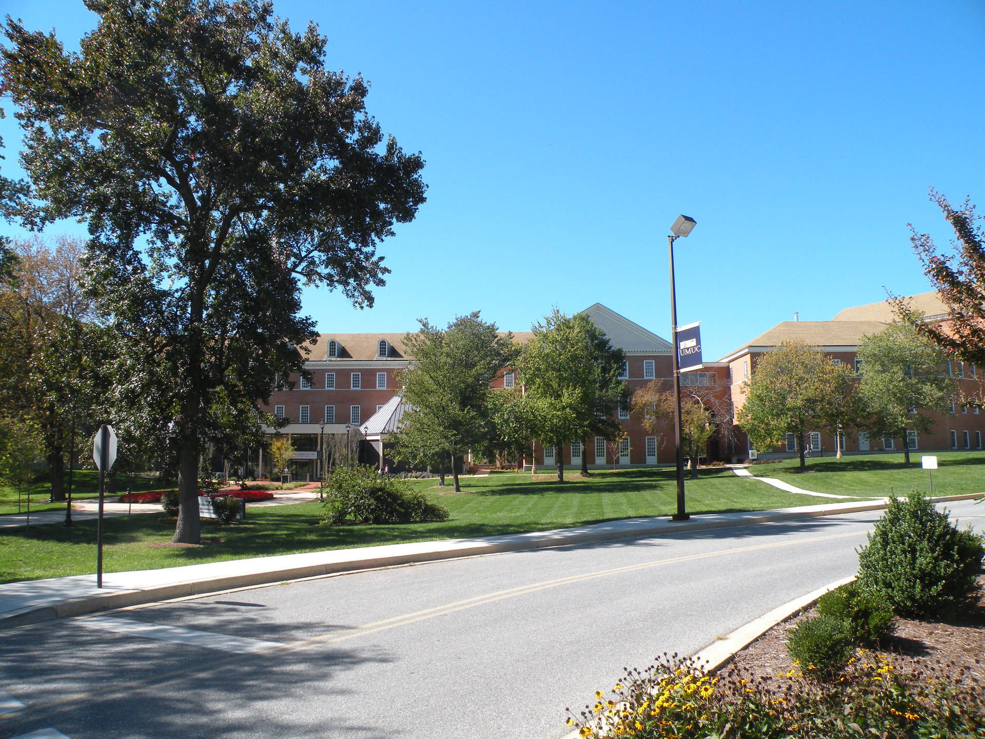 University Of Maryland College Road Background