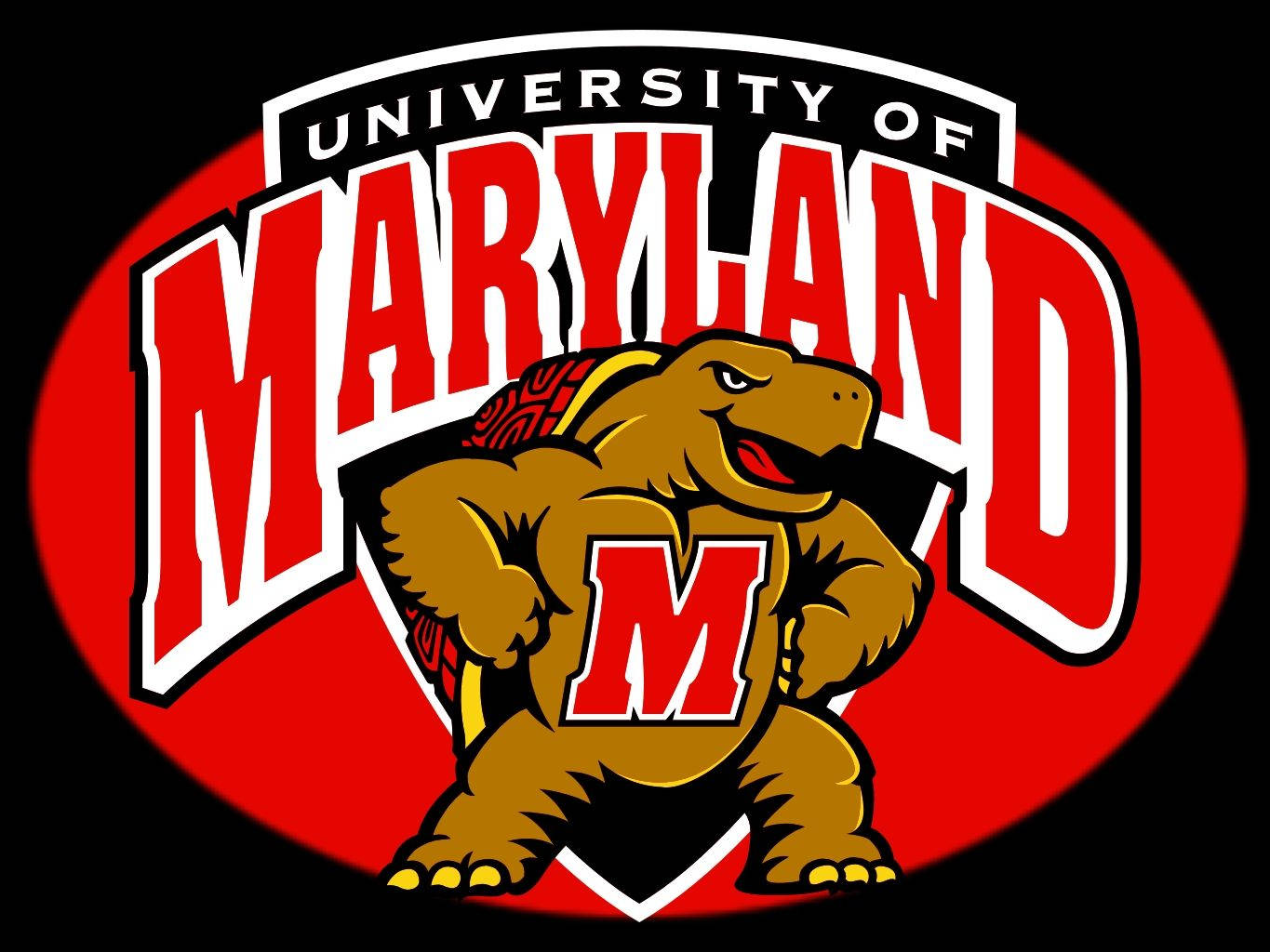 University Of Maryland Terrapin Background