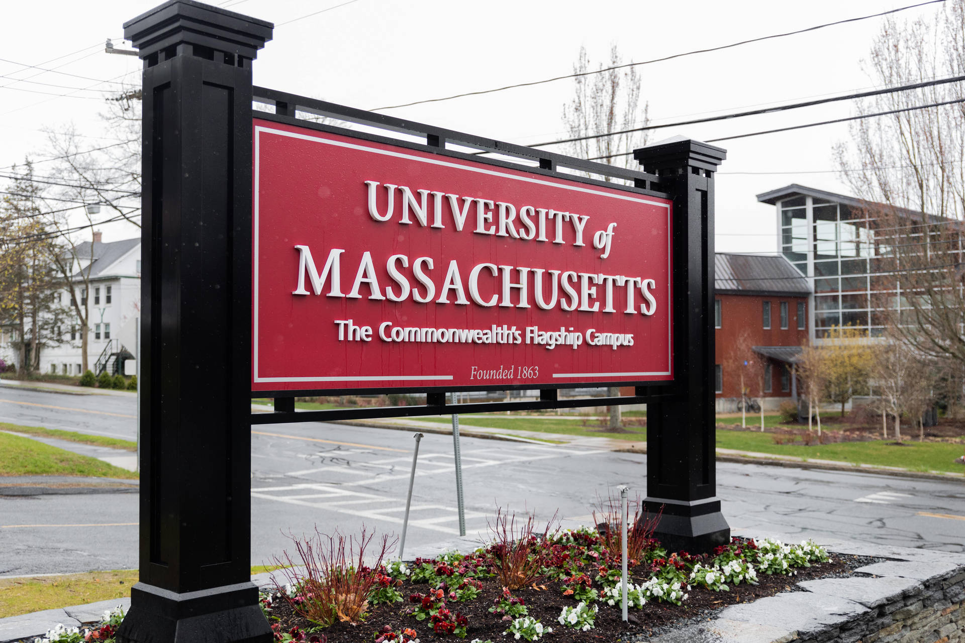 University Of Massachusetts Flowers And Sign Background