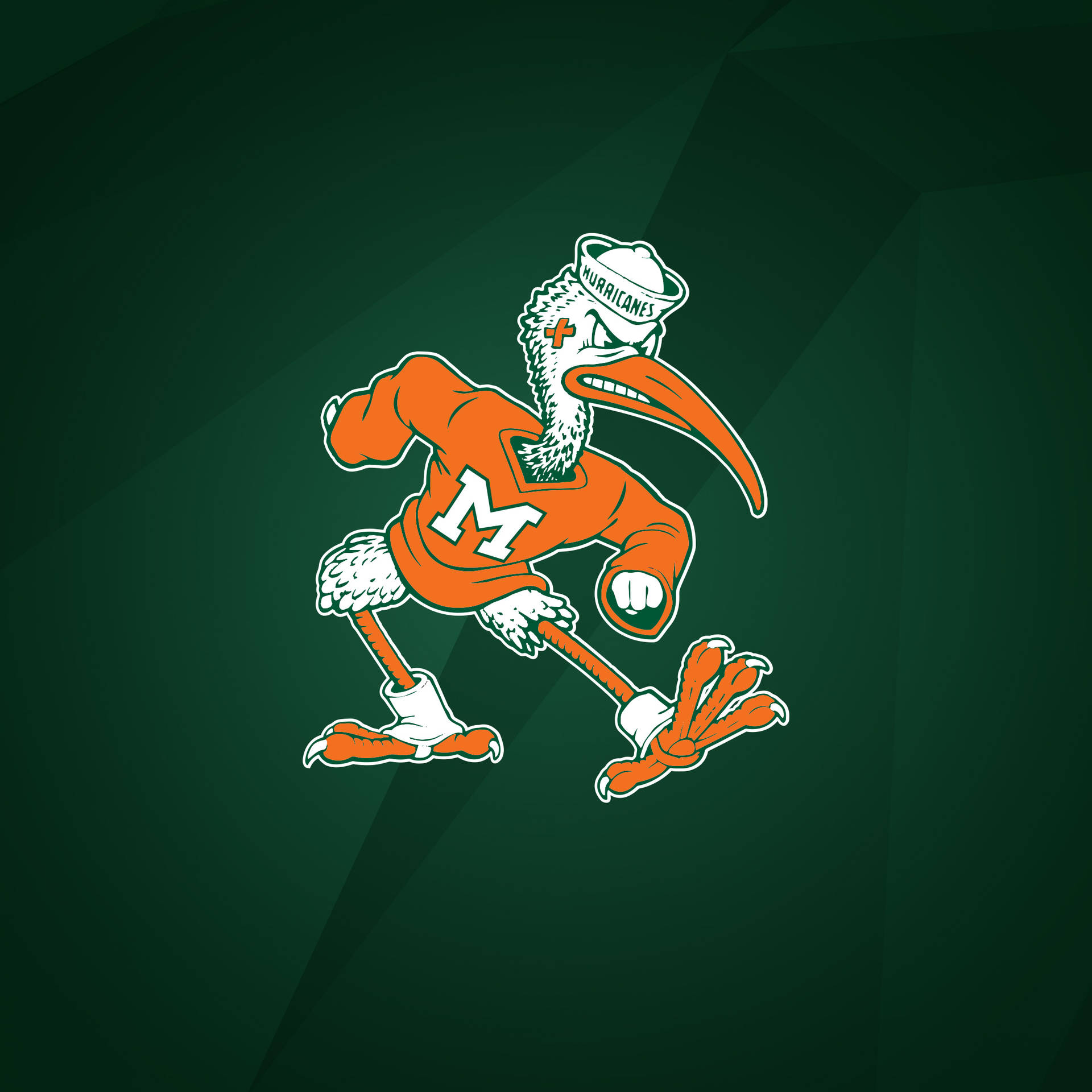 University Of Miami Green Mascot Background