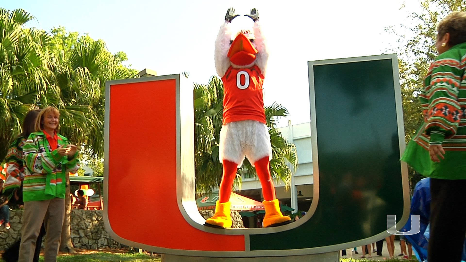 University Of Miami Logo And Sebastian Background