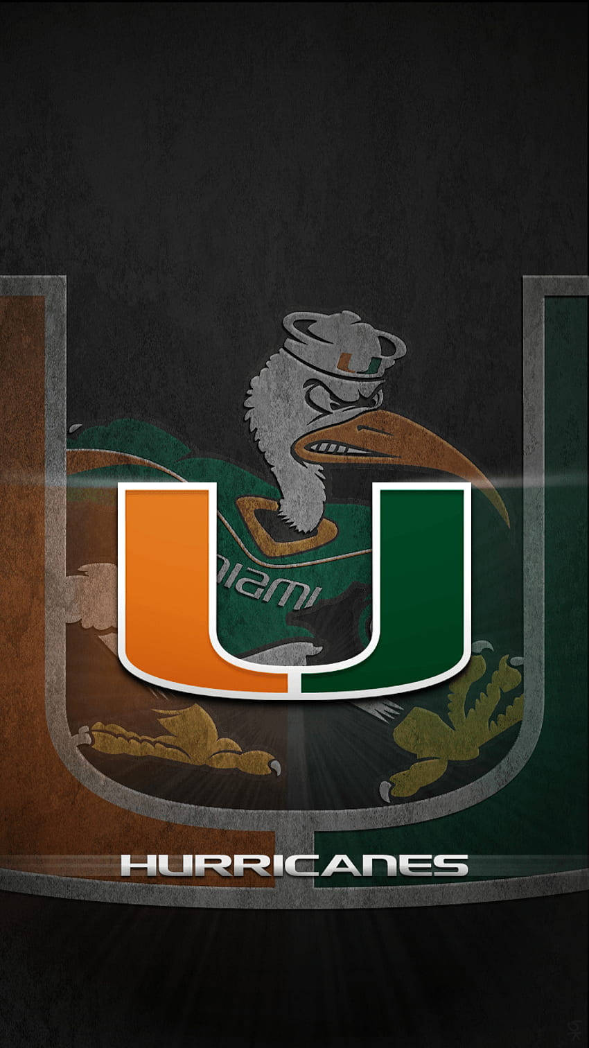 University Of Miami Logo And Sebastian Background