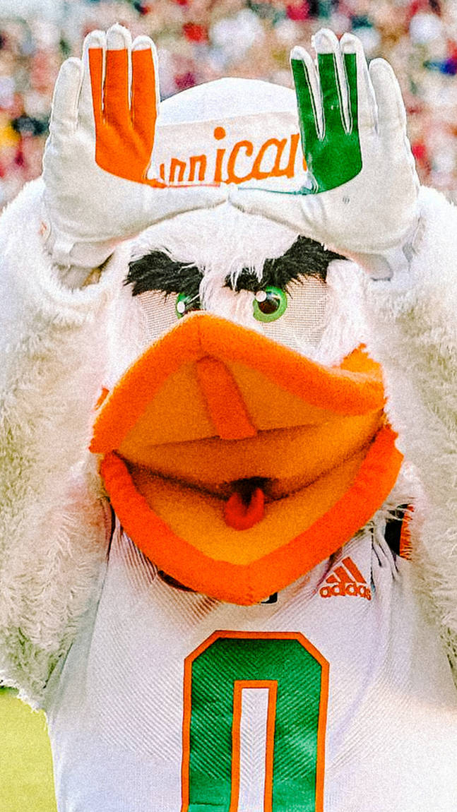 University Of Miami Mascot Making U Background