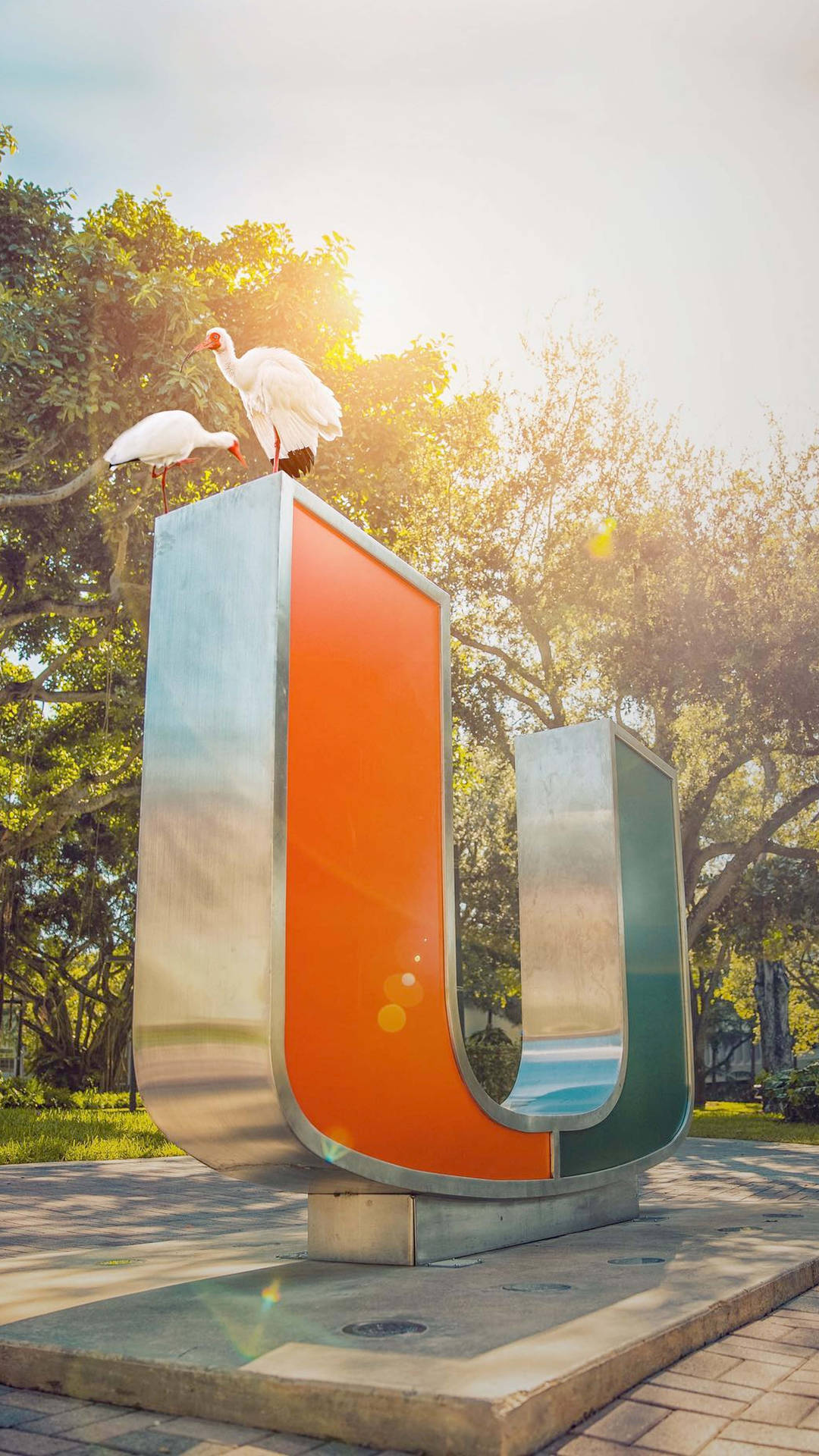 University Of Miami Metal Logo Statue Background