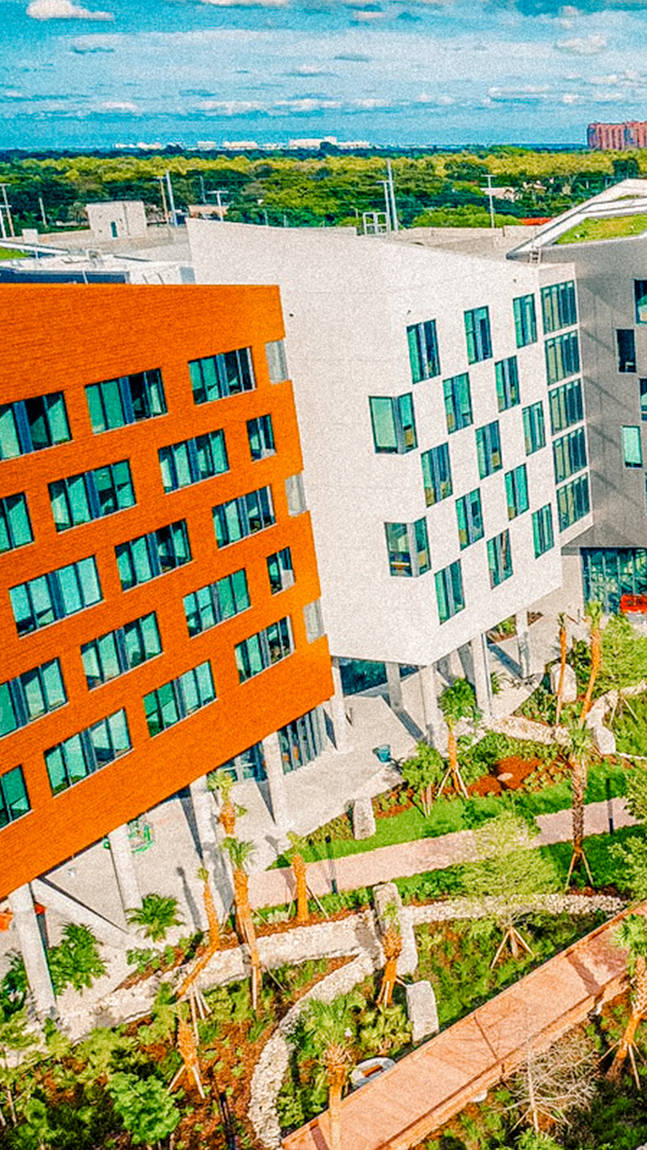 University Of Miami Modern Buildings Background