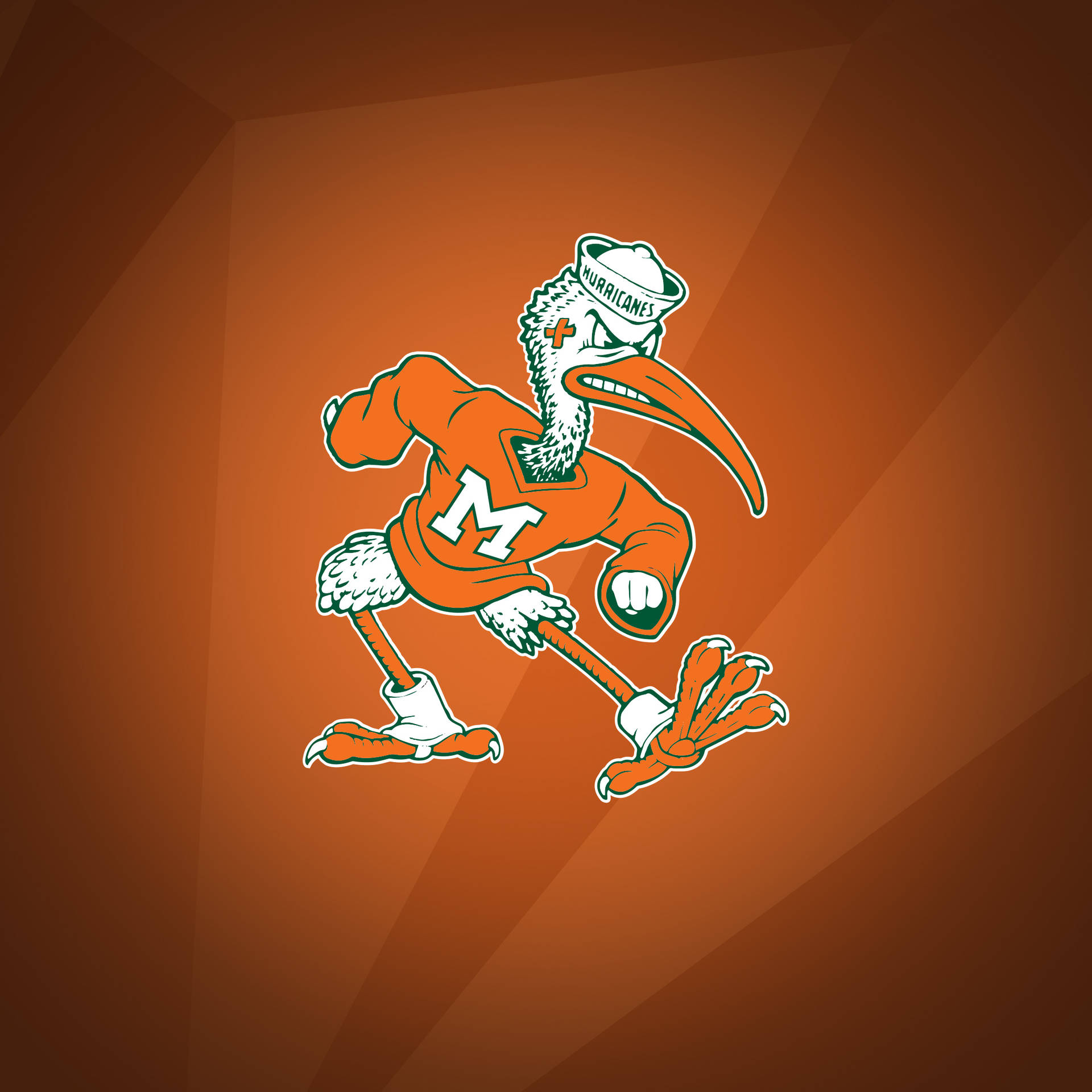 University Of Miami Orange Mascot Background