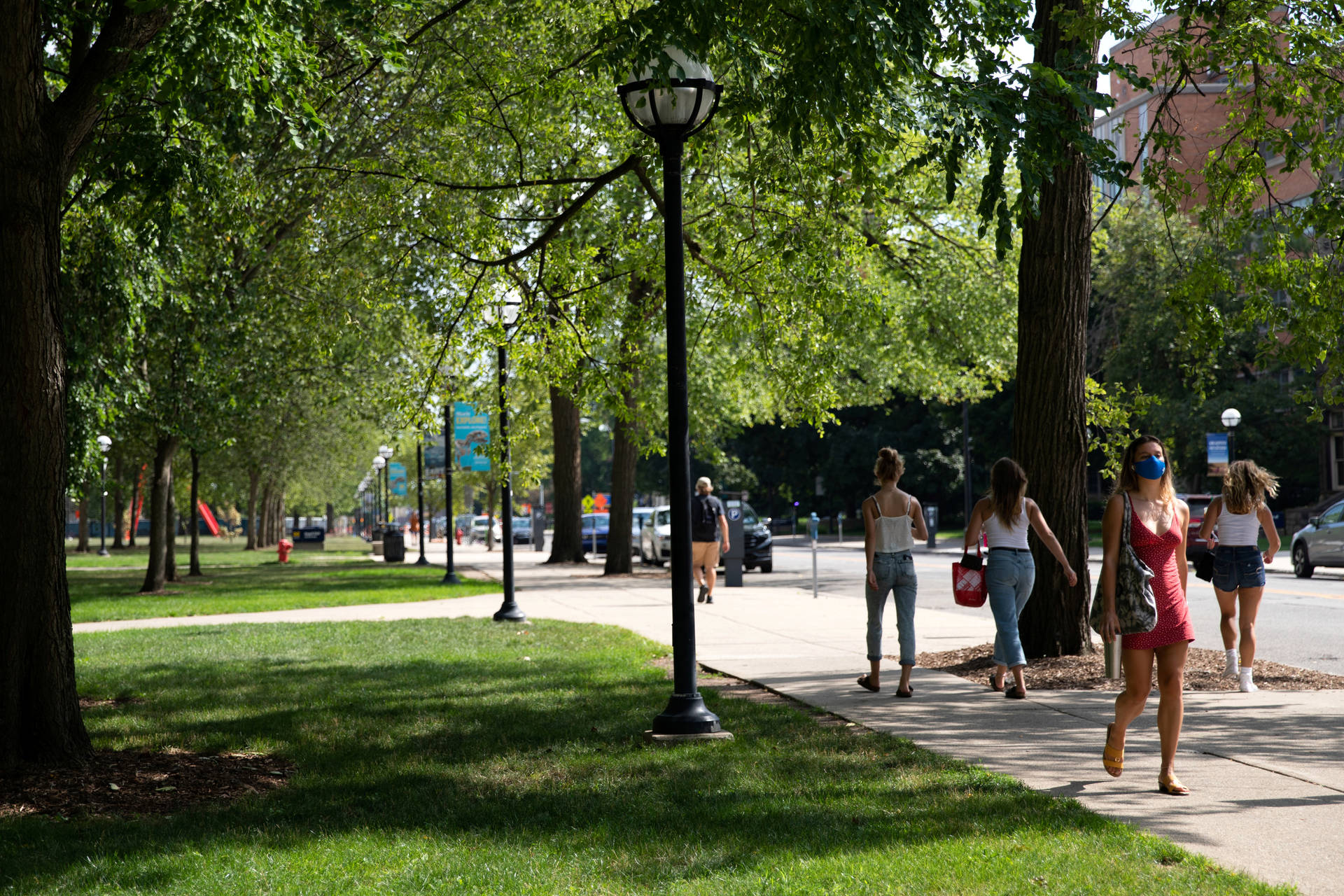 University Of Michigan-ann Arbor Campus Walkway Background