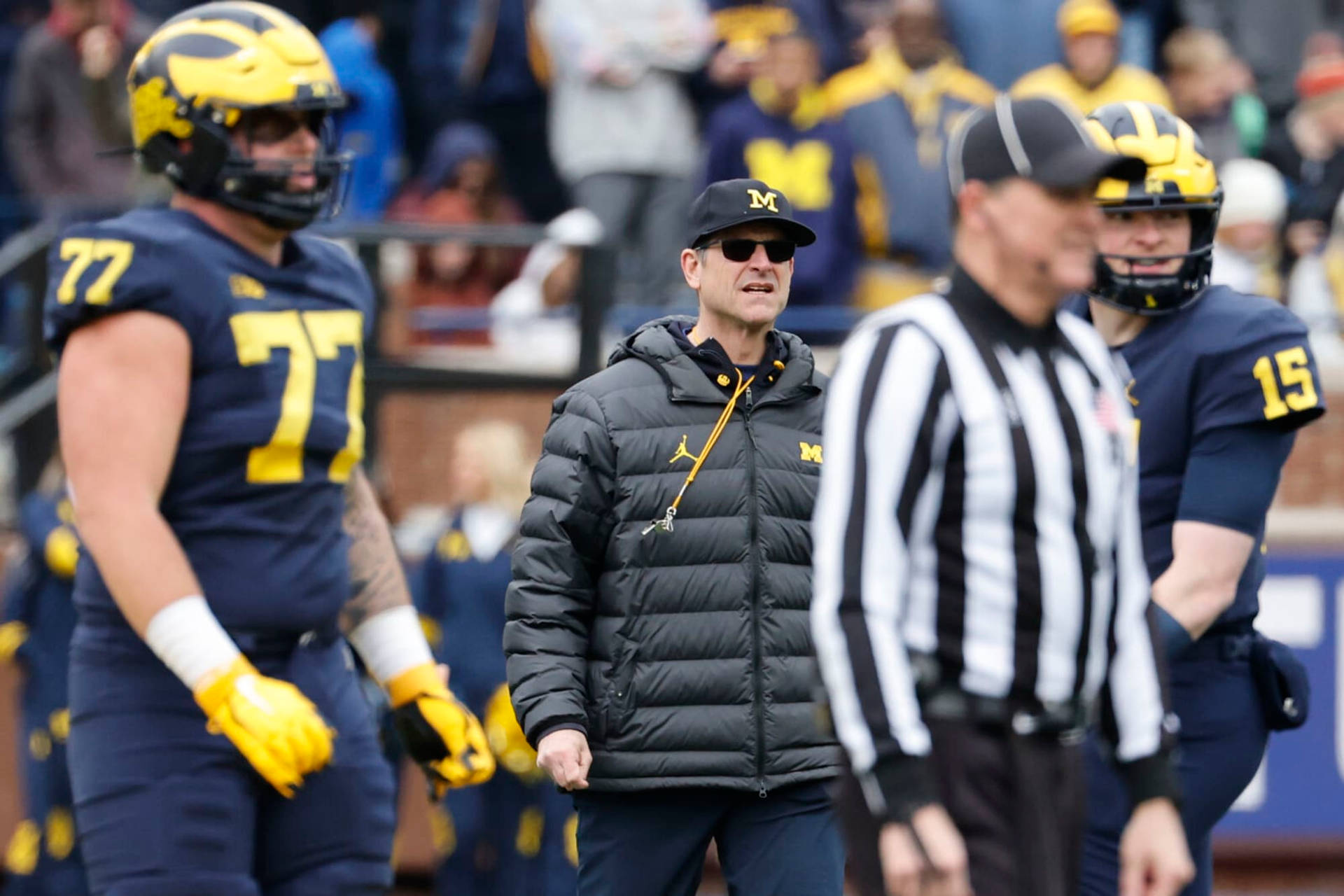 University Of Michigan-ann Arbor Football Coach Background