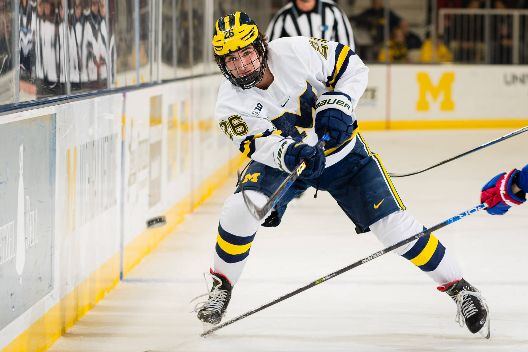 University Of Michigan-ann Arbor Hockey Player Background