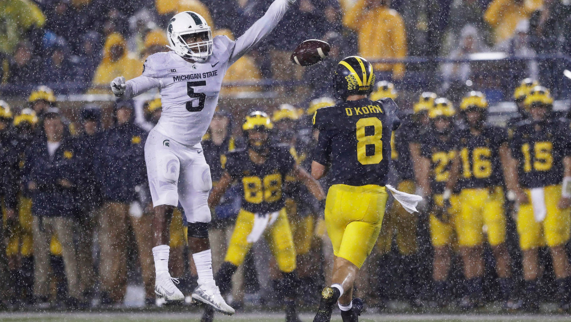 University Of Michigan-ann Arbor Rainy Game Background